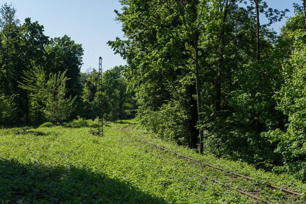 Stillgelegte Bahnstrecke im Dreiländereck, Bild 14