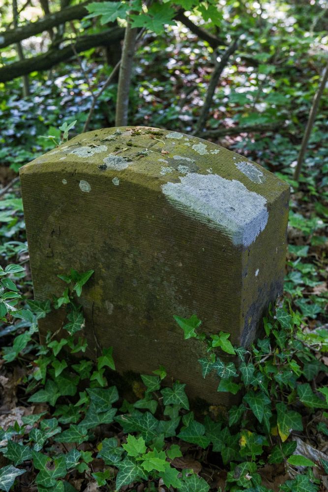 Stillgelegte Bahnstrecke im Dreiländereck, Bild 10