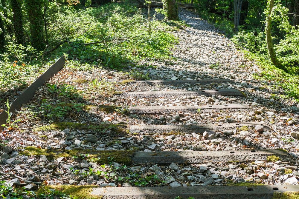 Stillgelegte Bahnstrecke im Dreiländereck, Bild 30