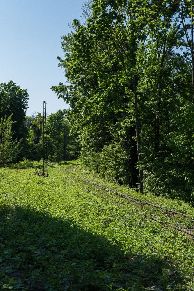 Stillgelegte Bahnstrecke im Dreiländereck, Bild 13