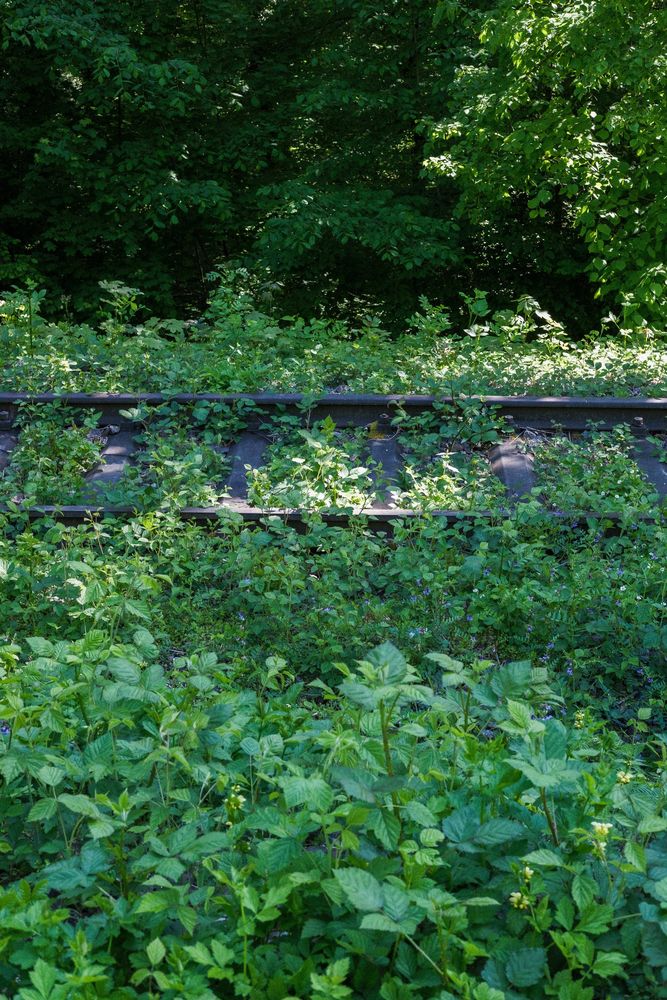 Stillgelegte Bahnstrecke im Dreiländereck, Bild 15