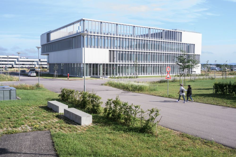 Neubau mit Glasfassade, Wiese und Weg im Vordergrund