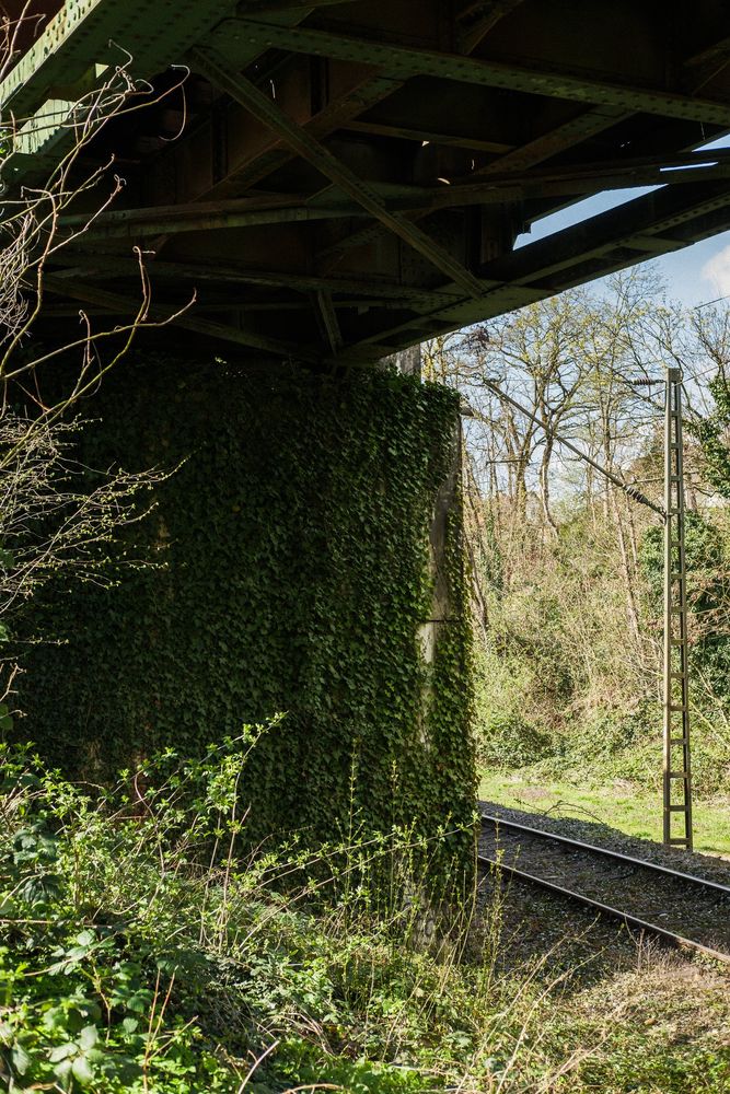 Stillgelegte Bahnstrecke im Dreiländereck, Bild 2