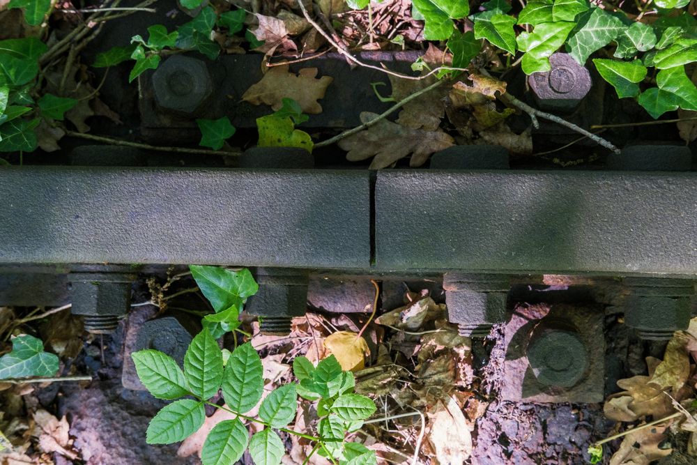 Stillgelegte Bahnstrecke im Dreiländereck, Bild 5