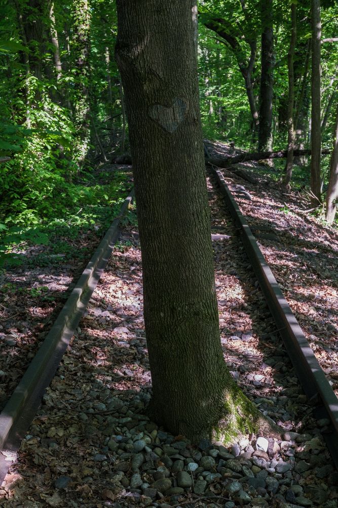 Stillgelegte Bahnstrecke im Dreiländereck, Bild 6