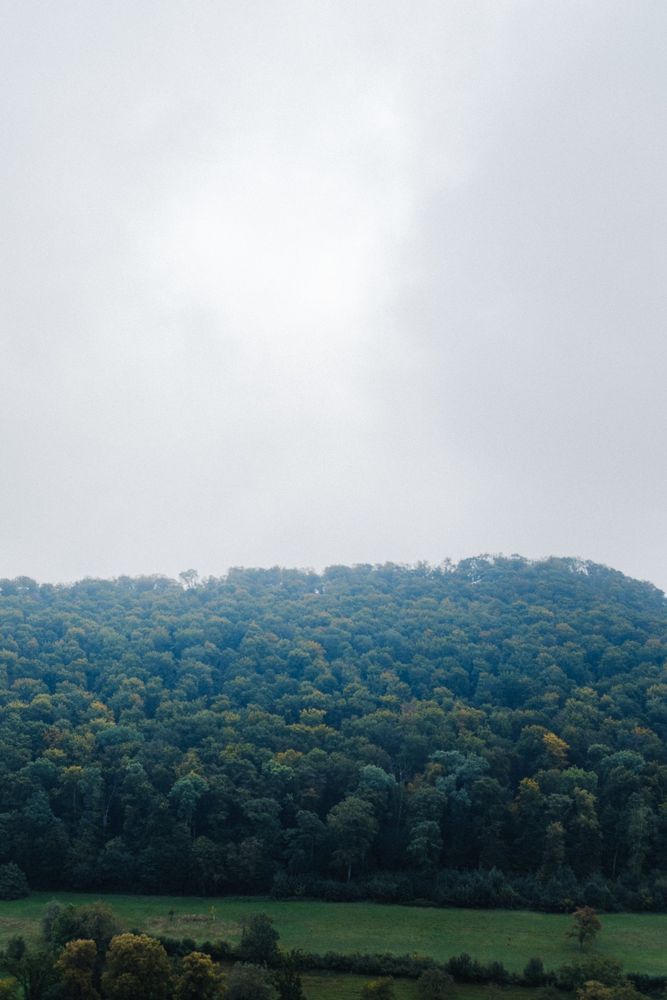 Nebel über einem bewaldeten Hügel